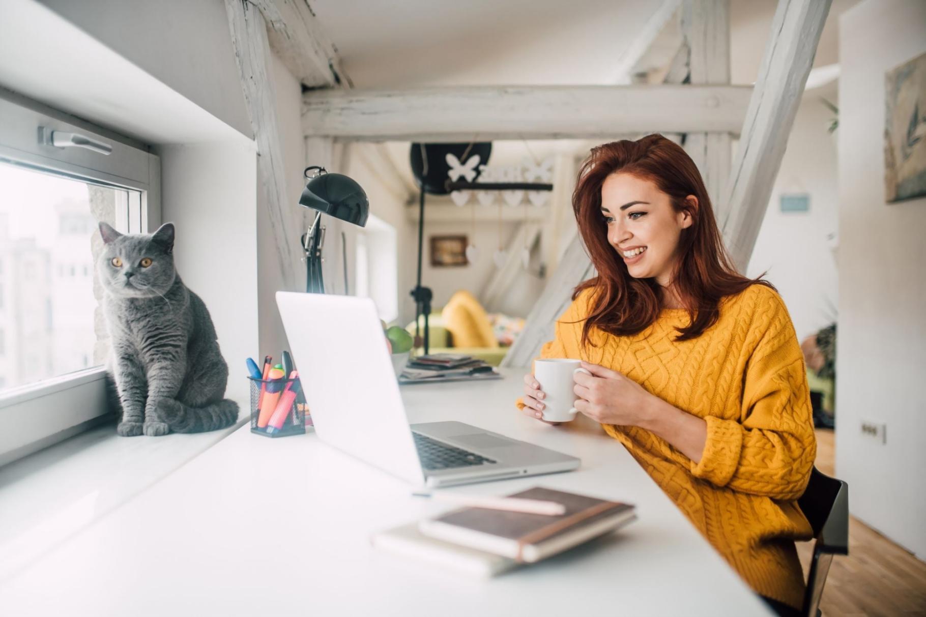Kontaktbereich Hintergrund